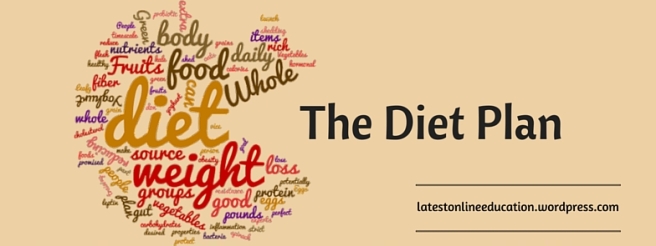 The Diet Plan